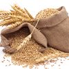 Beans, Grain, Nuts & Kernels