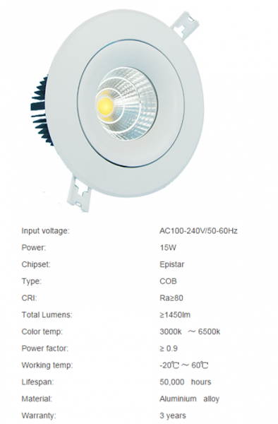 LED DownLighters