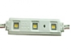 LED Module