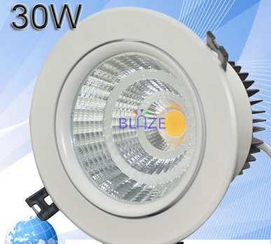 LED DownLighters