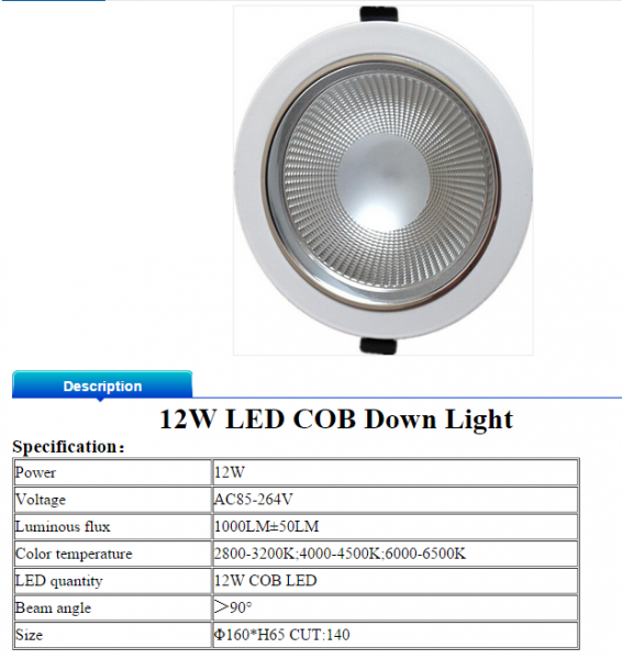 LED DownLighters