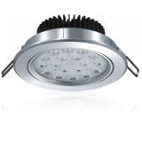 LED Ceiling Lamps