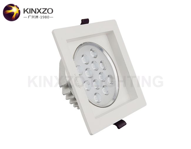 LED Ceiling Lamps