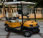 Golf Carts--AX-D2-G