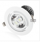 LED DownLighters