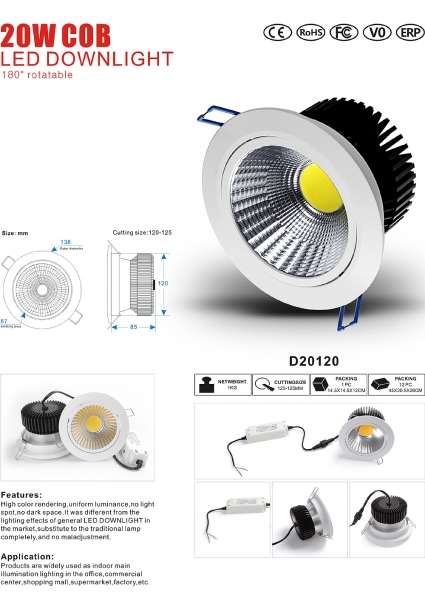 LED DownLighters