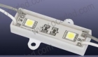 LED Module