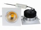 LED DownLighters