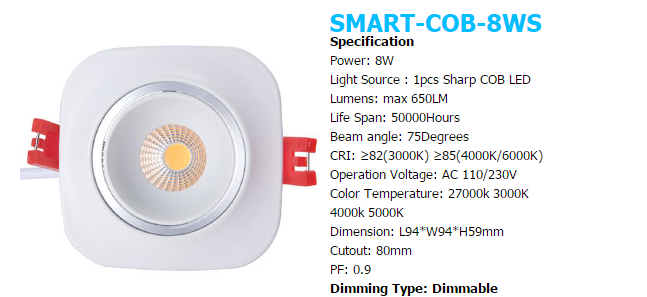 LED DownLighters