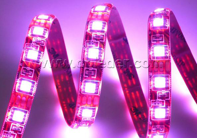 LED Strip Lights