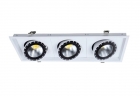 LED DownLighters