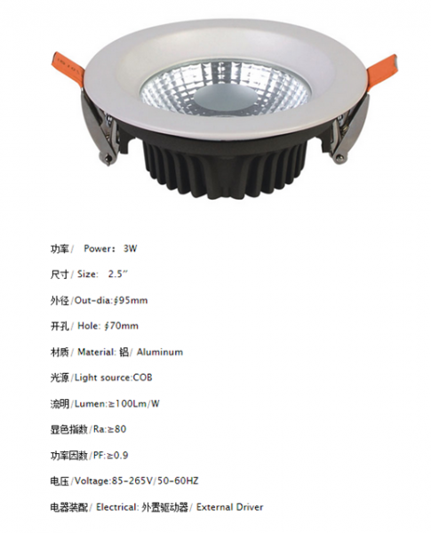 LED DownLighters