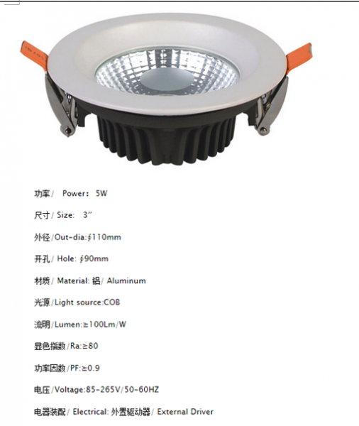 LED DownLighters