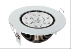 LED DownLighters