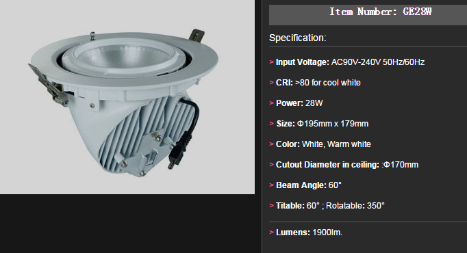 LED DownLighters