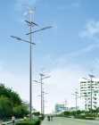 Solar Street Light