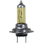 Halogen Bulbs