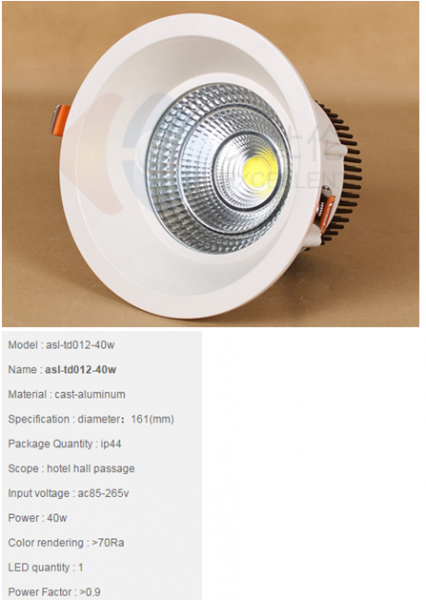 LED DownLighters