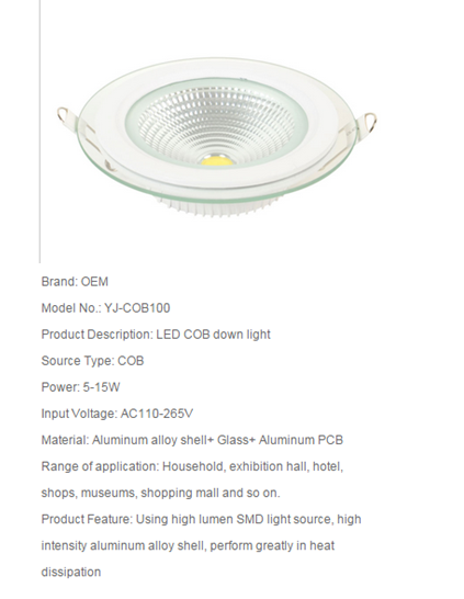 LED DownLighters