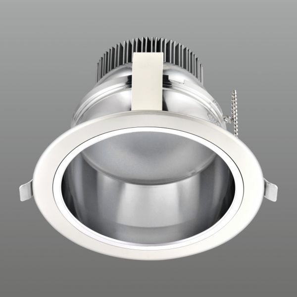 LED DownLighters