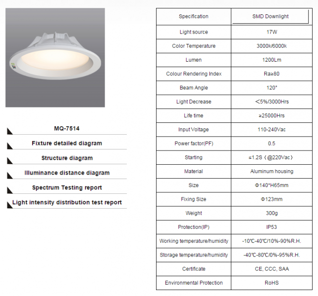 LED DownLighters