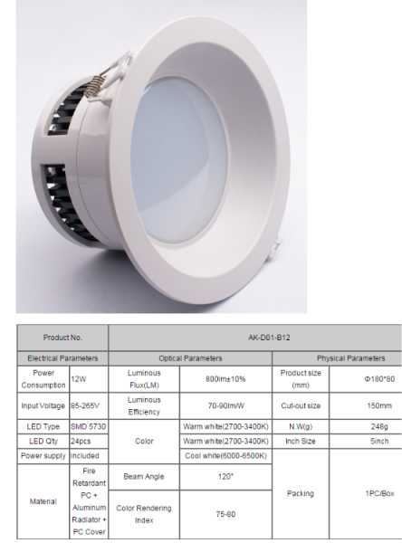 LED DownLighters