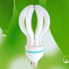 Lotus energy saving lamp