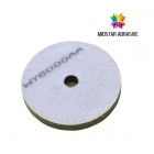 Polishing Pad