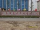 Qingdao Eagle Power Industrial Co., Limited