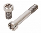 Titanium Screw