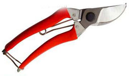 Pruning Shears