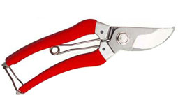 Pruning Shears