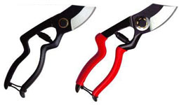 Pruning Shears