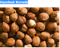 Hazelnut Kernels