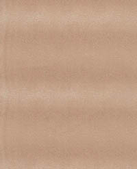 Synthetic Leather