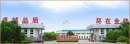 SHANDONG JINFENG SYNTHETIC LEATHER CO LTD