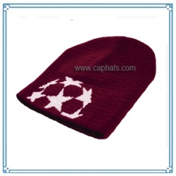 Winter Cap