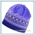 Winter Cap