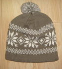 Winter Cap