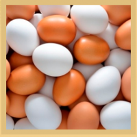 Fresh Brown Chicken Eggs