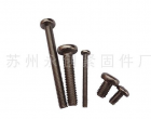 Machine Screw