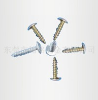 Self Tapping Screw