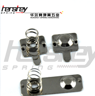 Battery Spring