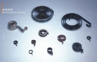 Volute Spring