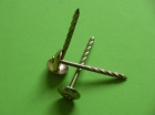 Roofing Nail