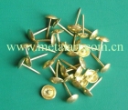 Thumb Tack