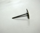 Roofing Nail