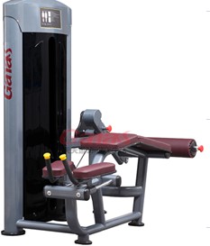 Leg Extension Machine