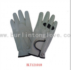 Golf Glove