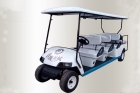 Electric Golf Cart